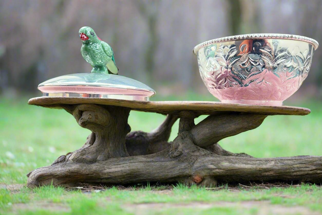 Parrot Handle Box