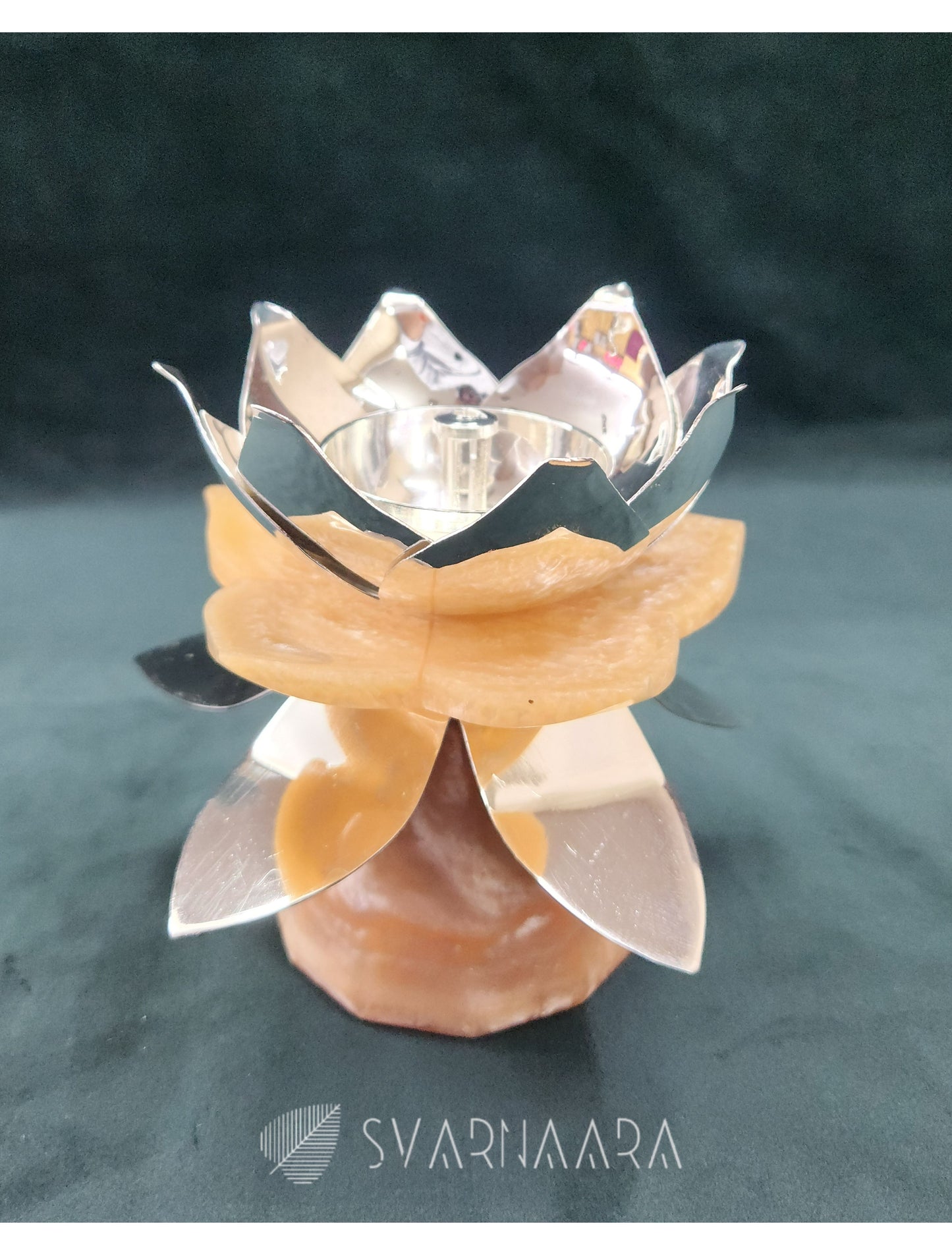 Lotus Jyot Orange Leaf